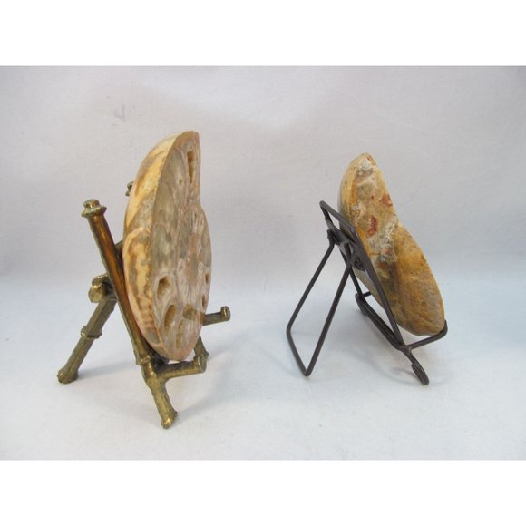 Cut Split Pair Polished Ammonite Fossil Crystal with Stands Small 3" x 2.5" - Picture 7 of 15